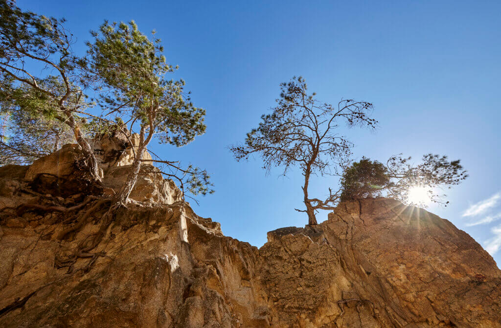 Rocky cliffs surrounding Sa Boadella beach