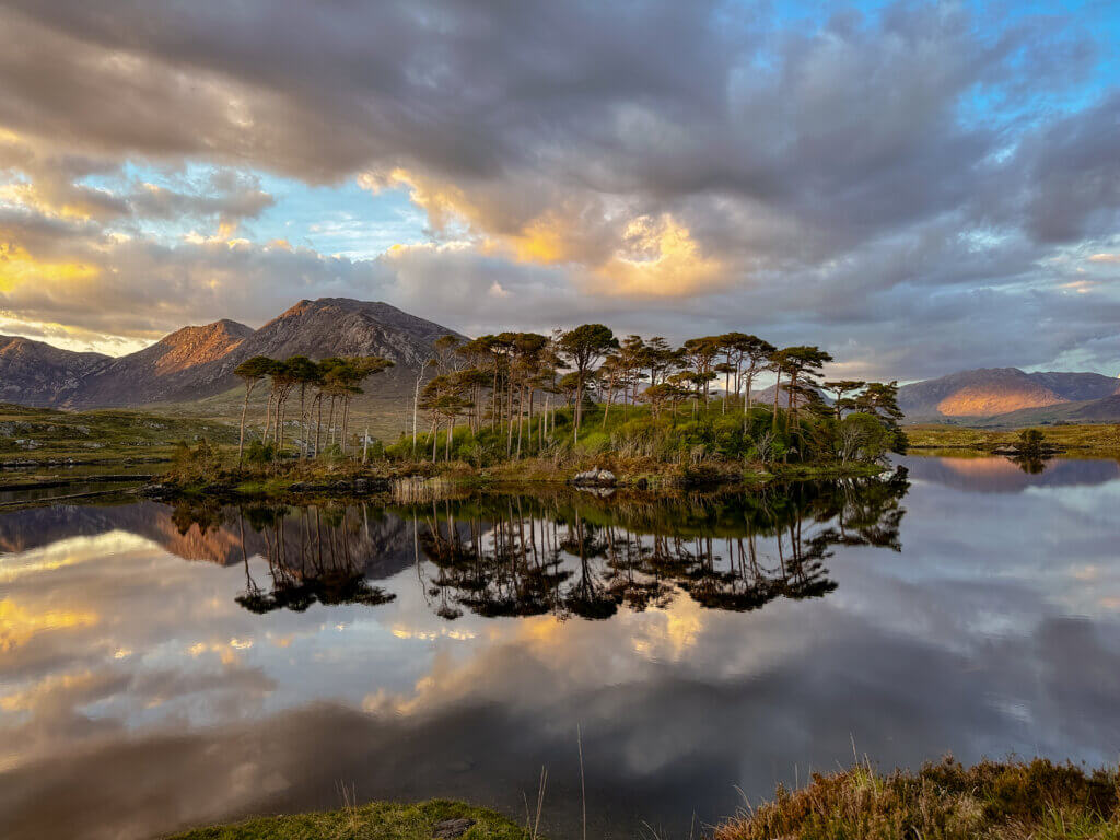 Pine Island reflecting on Derryclare Lake on a still day. It is sunset. One of the best things to do in Connemara, Ireland.