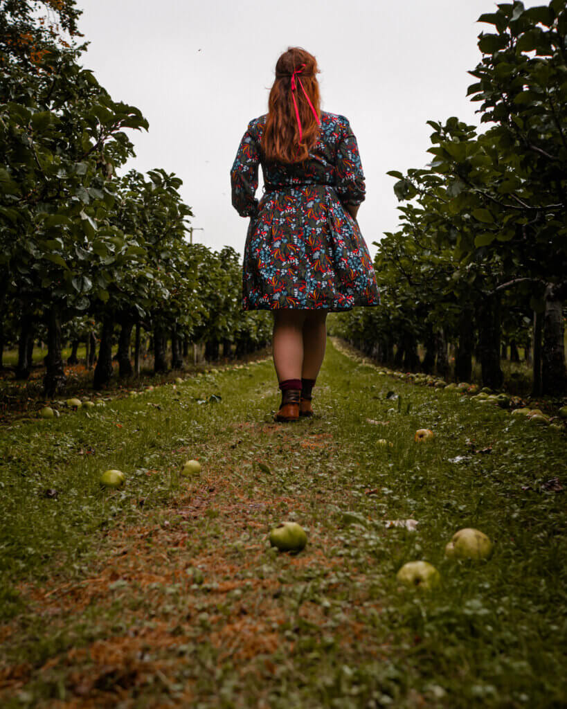 Nicola Lavin, an Irish travel blogger, is picking apples during autumn in Ireland.