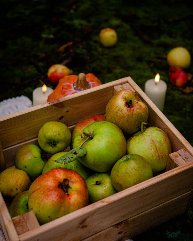 A crate of autumn apples.