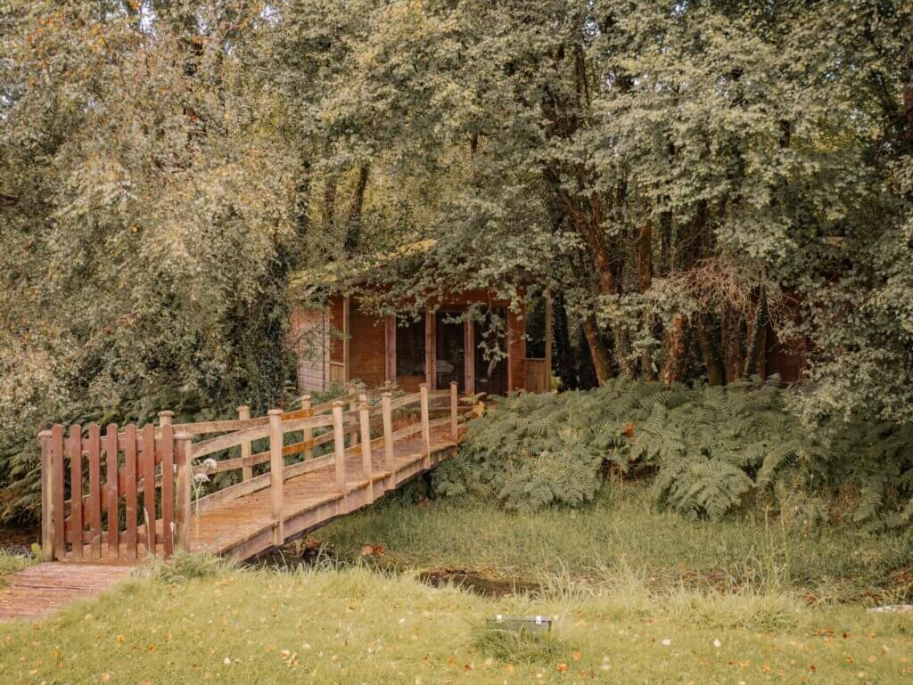 Woodland treatment area at the spa at Brooklodge and Macreddin village.