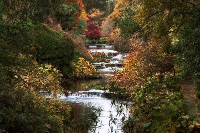 Fall foliage in Ireland.