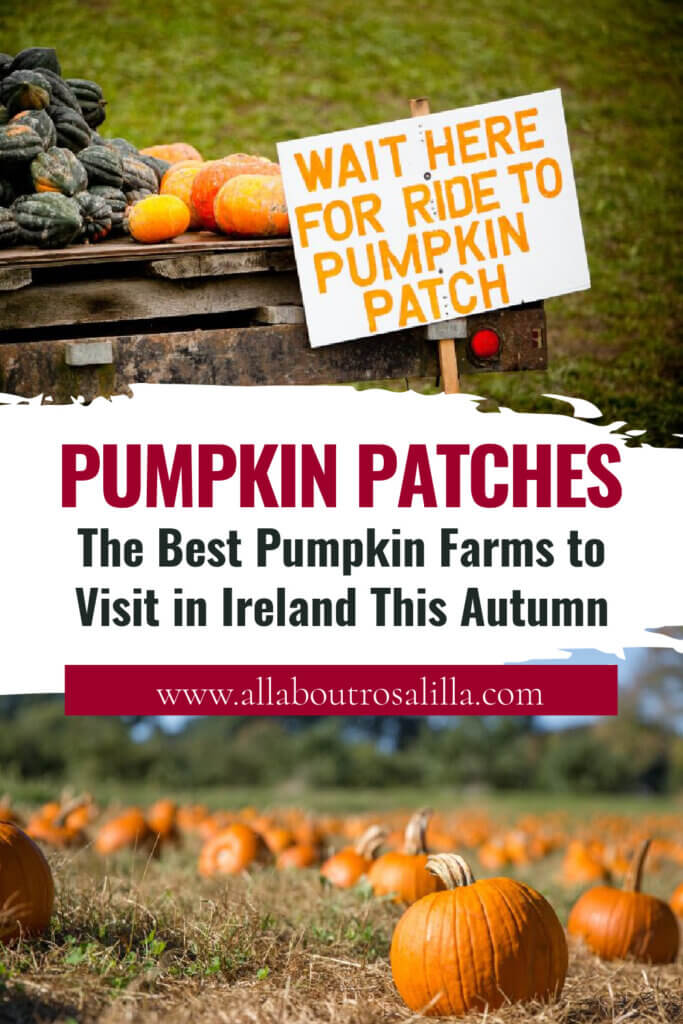 Images from Pumpkin Farms in Ireland with text overlay "The Best Pumpkin Farms to Visit in Ireland This Autumn."