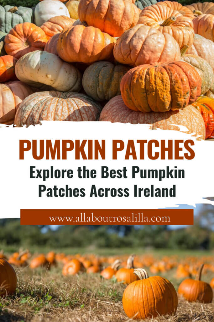 Images from Pumpkin Farms in Ireland with text overlay "Explore the Best Pumpkin Patches Across Ireland."