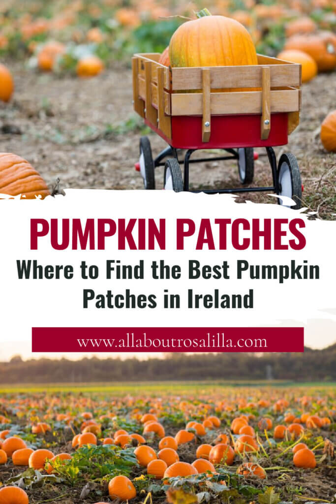 Images from pumpkin patches in Ireland with text overlay "Where to Find the Best Pumpkin Patches in Ireland."